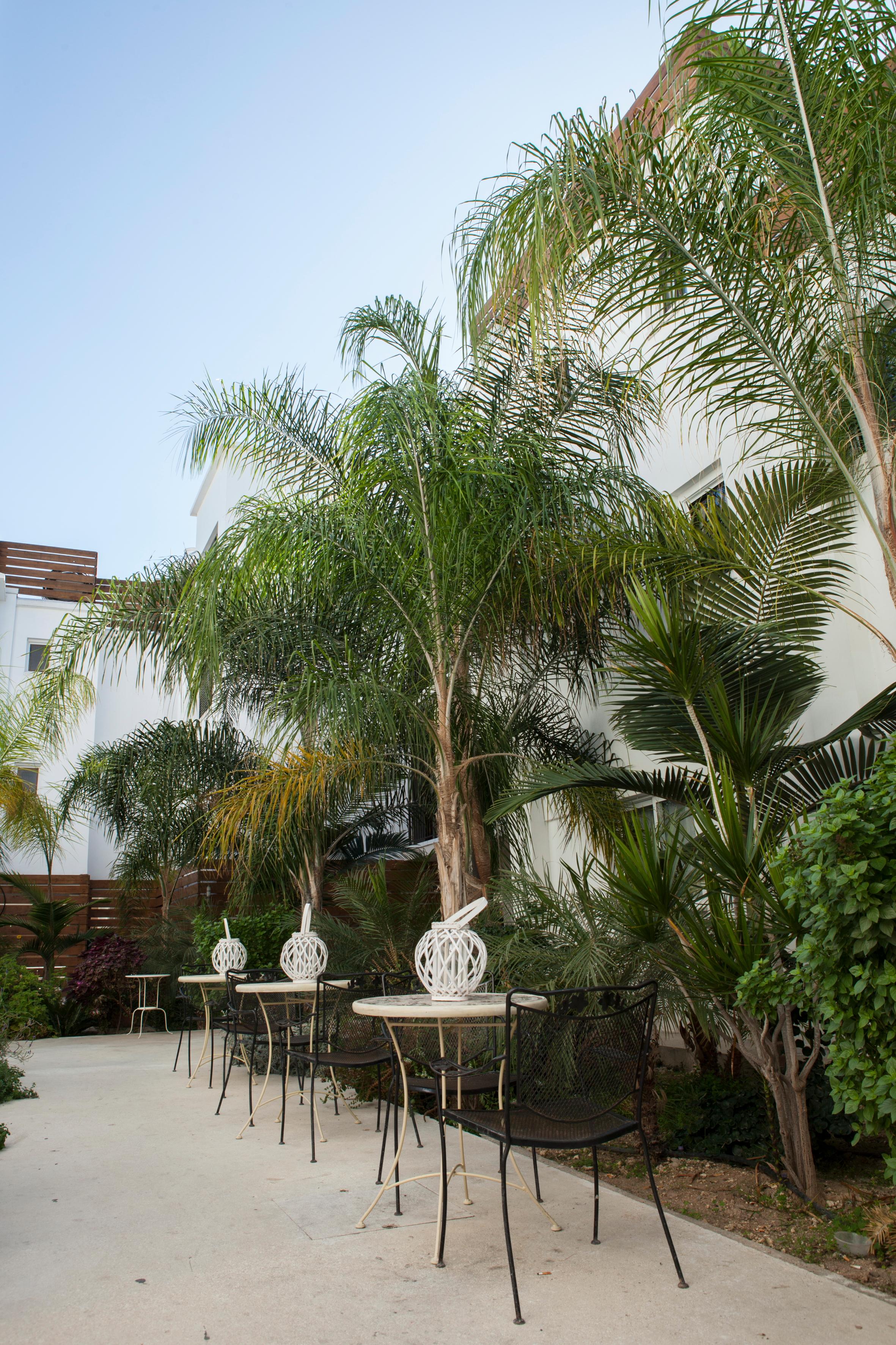 Hotel apartamentowy Alecos Pafos