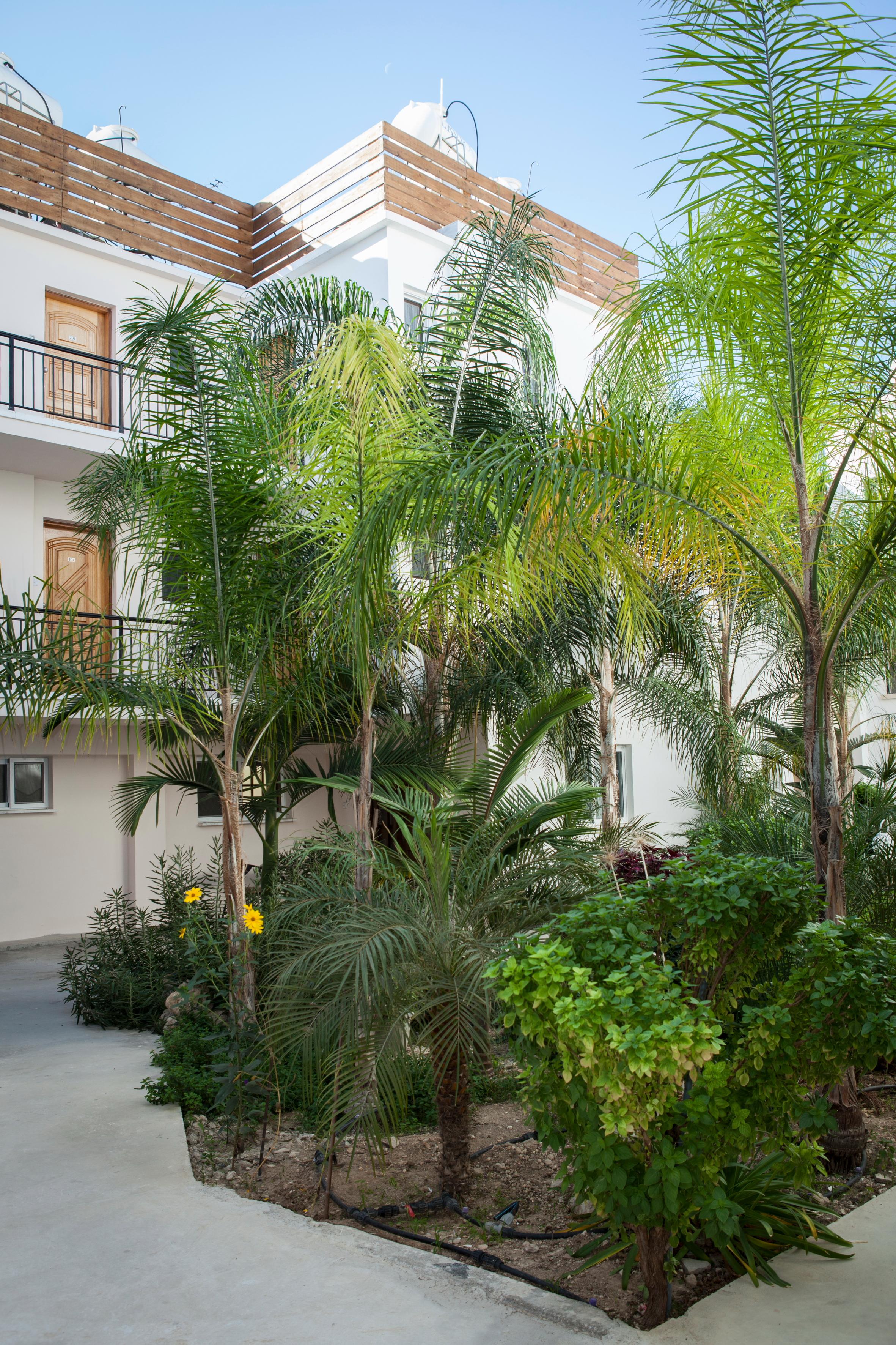 Alecos Aparthotel 3*